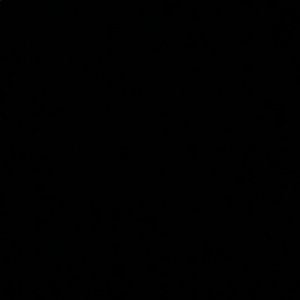 Meet your Posher, Jaden